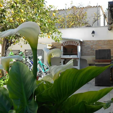Vacanza Gioele Apartment *